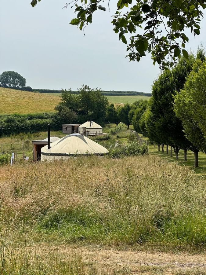 Bracken Yurt At Walnut Farm Glamping Hotel Netherbury Eksteriør billede