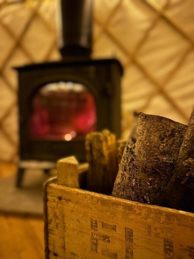 Bracken Yurt At Walnut Farm Glamping Hotel Netherbury Eksteriør billede